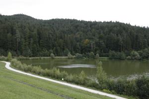 FOTO Drago Juteršek (2)